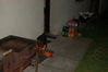 radesinka_2006_006.jpg